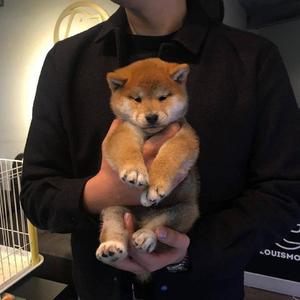 中国名模生殖欣赏BBw小说
