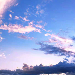 中国名模生殖欣赏BBw小说
